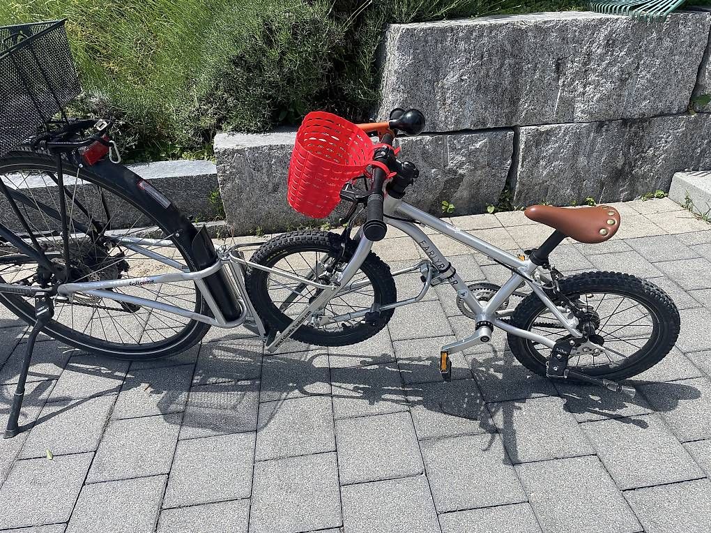 Ersatzteile: Follow me + early Rider 16" – Gebraucht aus Stettfurt von soeins