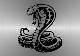 Fun Aufkleber Tuning Sticker Decal 525