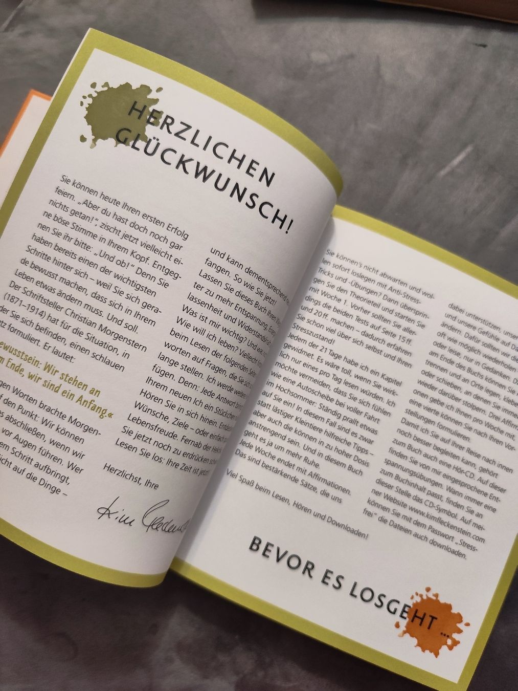 Bücher: Stress Free Now! Book & CD Set - Motivation Guide – Gebraucht aus Mägenwil von VintageGirly 9