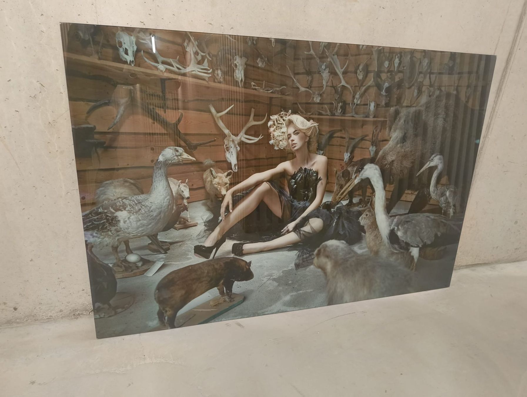 Poster & Bilder: Kare Glasbild 100x150cm – Neu (gemäss Beschreibung) aus Sursee von michaelkelly 3