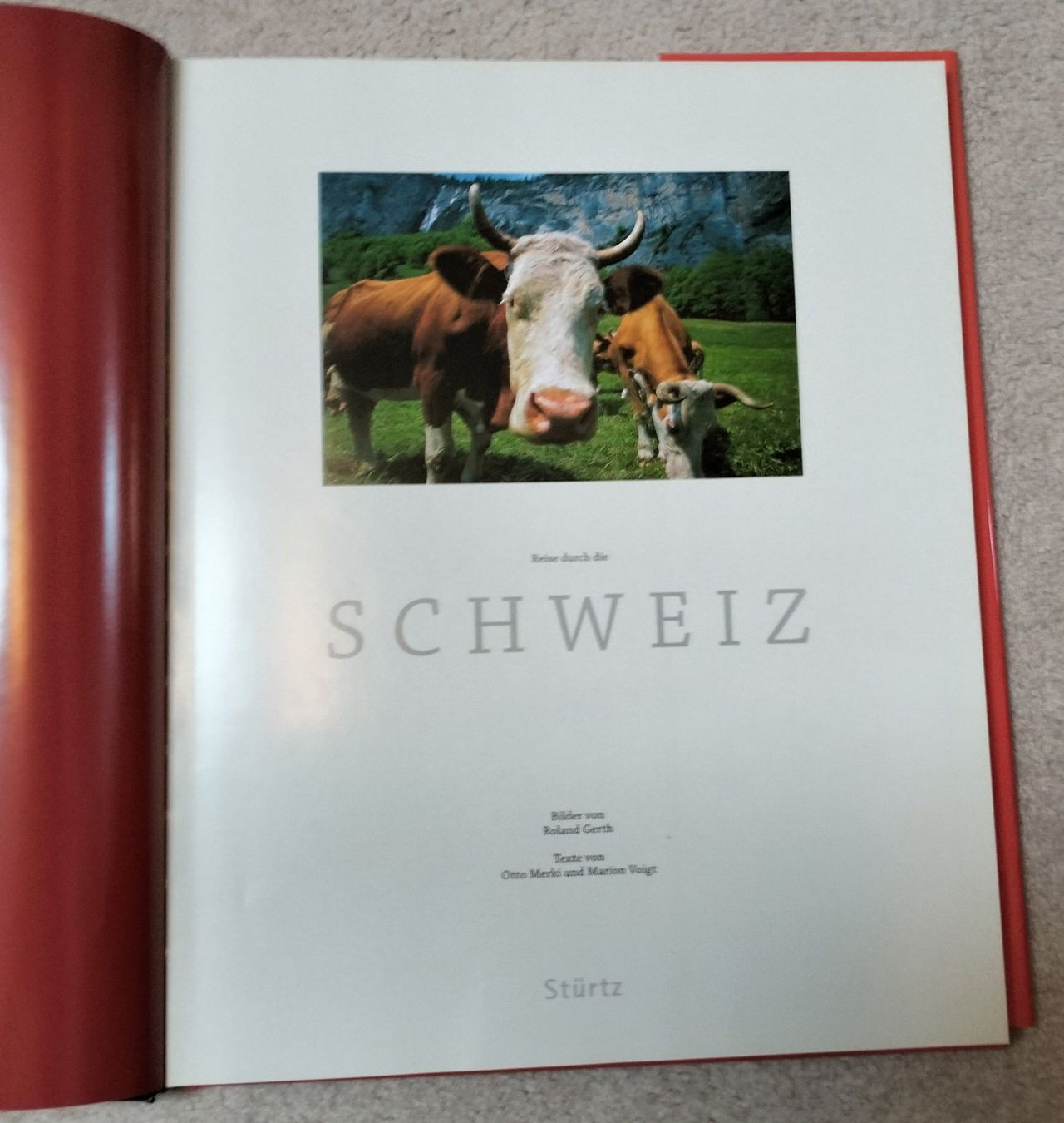 Libri: Buch "Reise durch die Schweiz", gebunden – Usato da Muri AG venduto da Thuja99 5