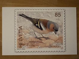 AK mit Tier Briefmarken Motiv von Eva Ch. Weber