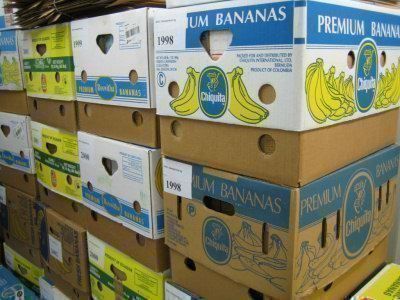 Cartoni: Bananenkisten - 50 STÜCK – Usato da Zürich venduto da Jesper09
