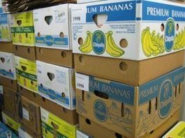 Bananenkisten - 20 STÜCK