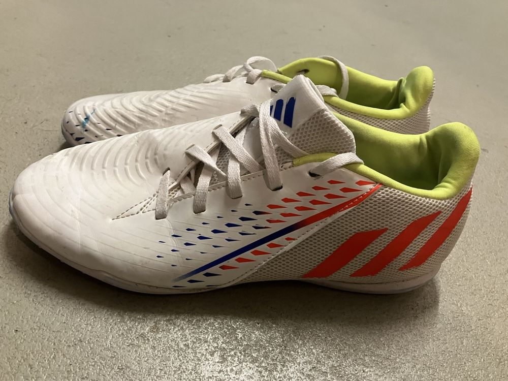 Adidas predator clearance absolado hallenschuhe