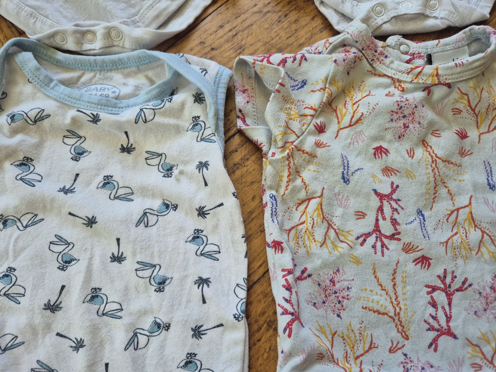 Lotti & Set di vestiti: 4 Body Bébé Manches Courtes taille 62/68 – Usato da Yverdon-les-Bains venduto da somiou 1