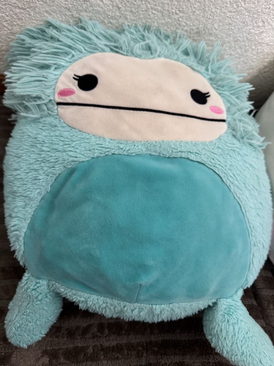 Squishmallows Giocattoli: Squishmallows – Usato da Weite venduto da Quarantino 2
