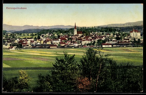 Cartoline postali: AK Herzogenbuchsee, Gesamtansicht – Usato da Berlin venduto da bartko-reher