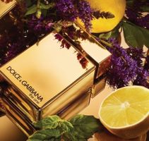 Dolce&Gabbana The One Gold for Men