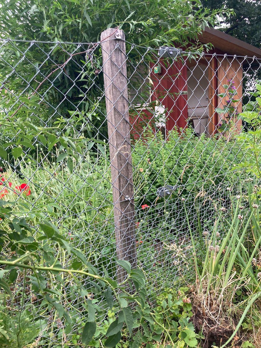 Clôtures: Maschendraht – Neuf (Voir description) à Kerns par lissy6 2