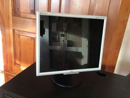 Bildschirm, LCD, Monitor, NEC