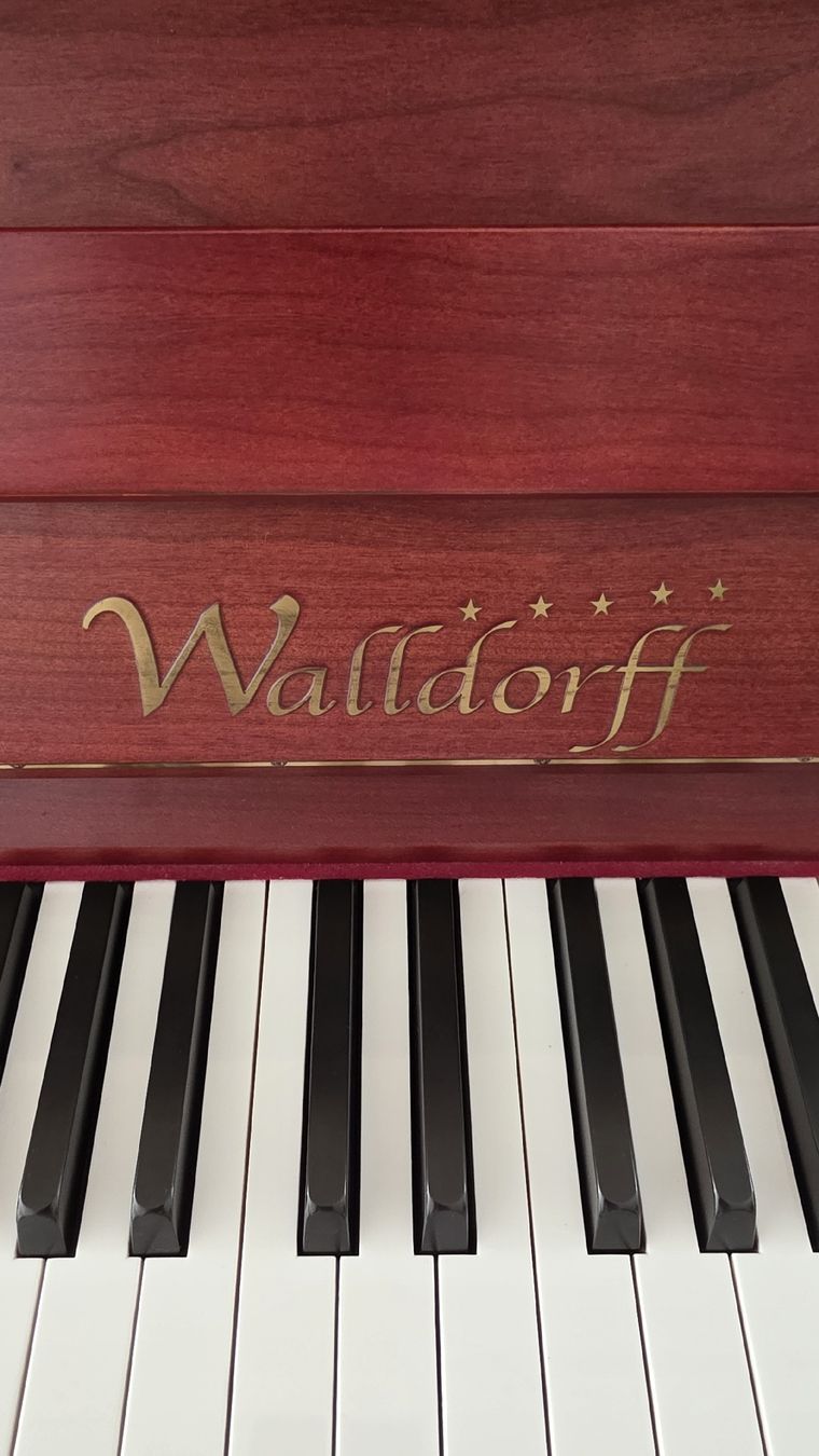Strumenti musicali: Walldorff Klavier mit passender Sitzbank – Usato da Zürich venduto da puma017 5