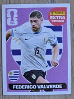 Panini Extra sticker Federico Valverde