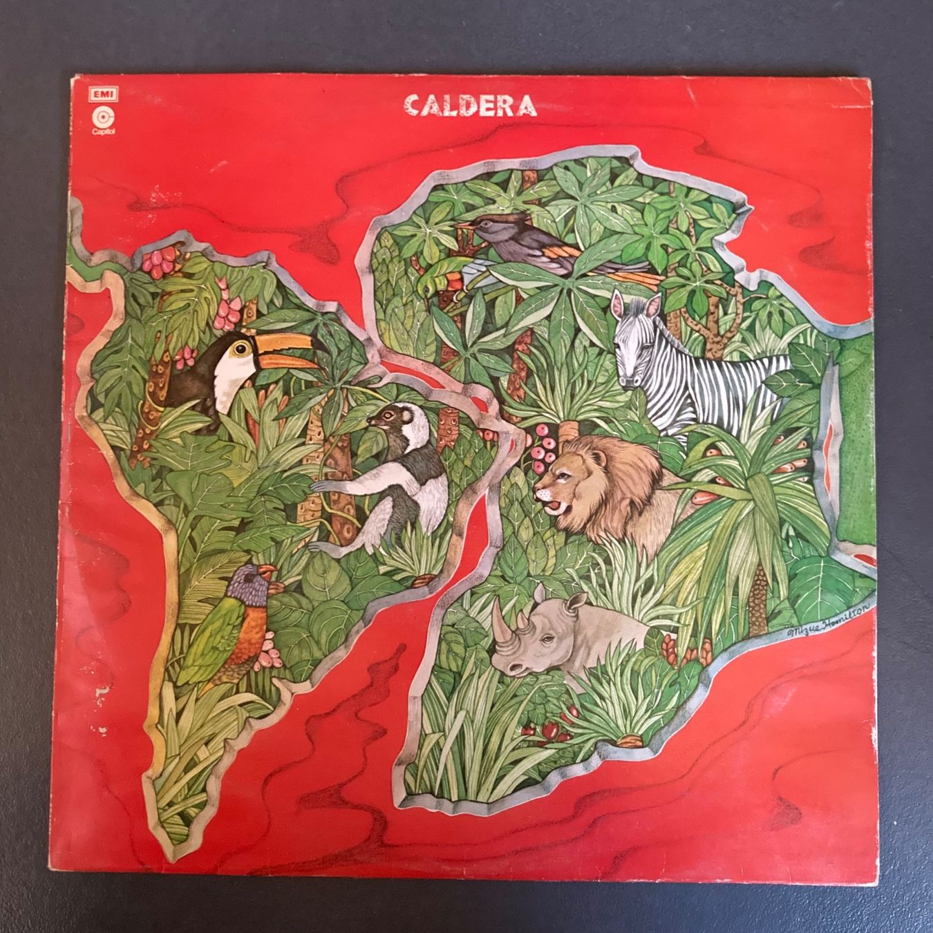 Dischi in vinile: Caldera - LP – Usato da dachsen venduto da oheio
