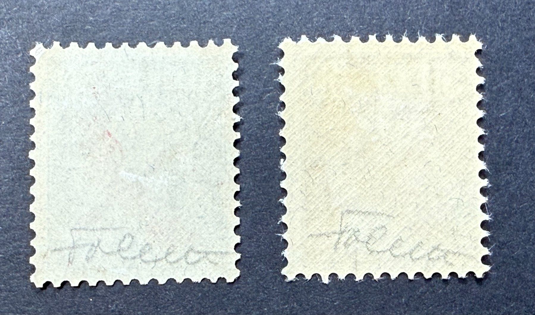 Alle Briefmarken: Flugmarke F1 & F2 - postfrisch – Neu (gemäss Beschreibung) aus Lungern von Strubel-Peter 1
