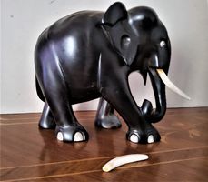 Antiker Ebenholz-ELEPHANT - Belgisch-Kongo - 1940er Jahre