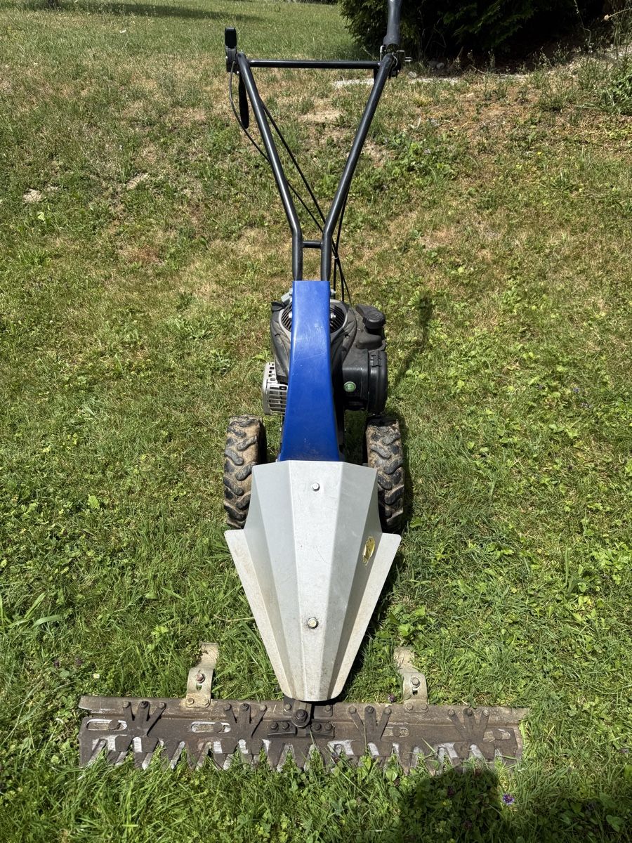 Lux Rasenmäher: Balkenmäher mit Briggs & Stratton Motor – Gebraucht aus Dickbuch von Kellerstar 2