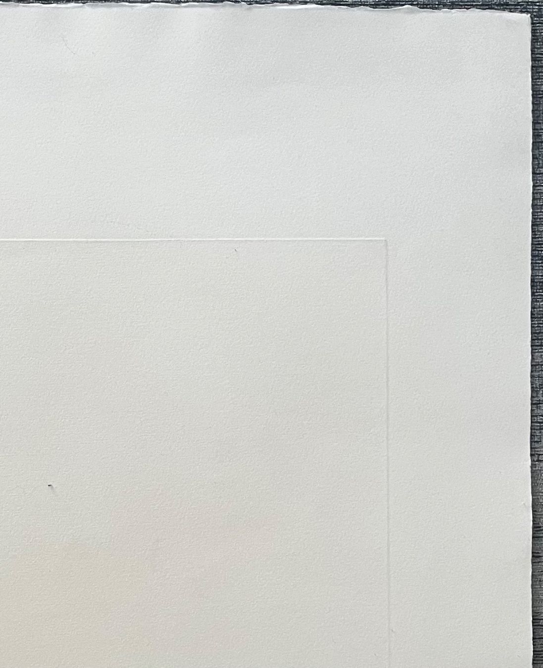 Grafiken & Lithographien: FRANZ BUCHER RADIERUNG SIGNIERT NUMMERIERT – Gebraucht aus Gersau von kunst-online 6