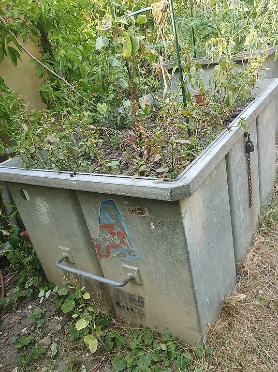 Vasi per fiori: Hochbeet – Usato da Olten venduto da stritten 2