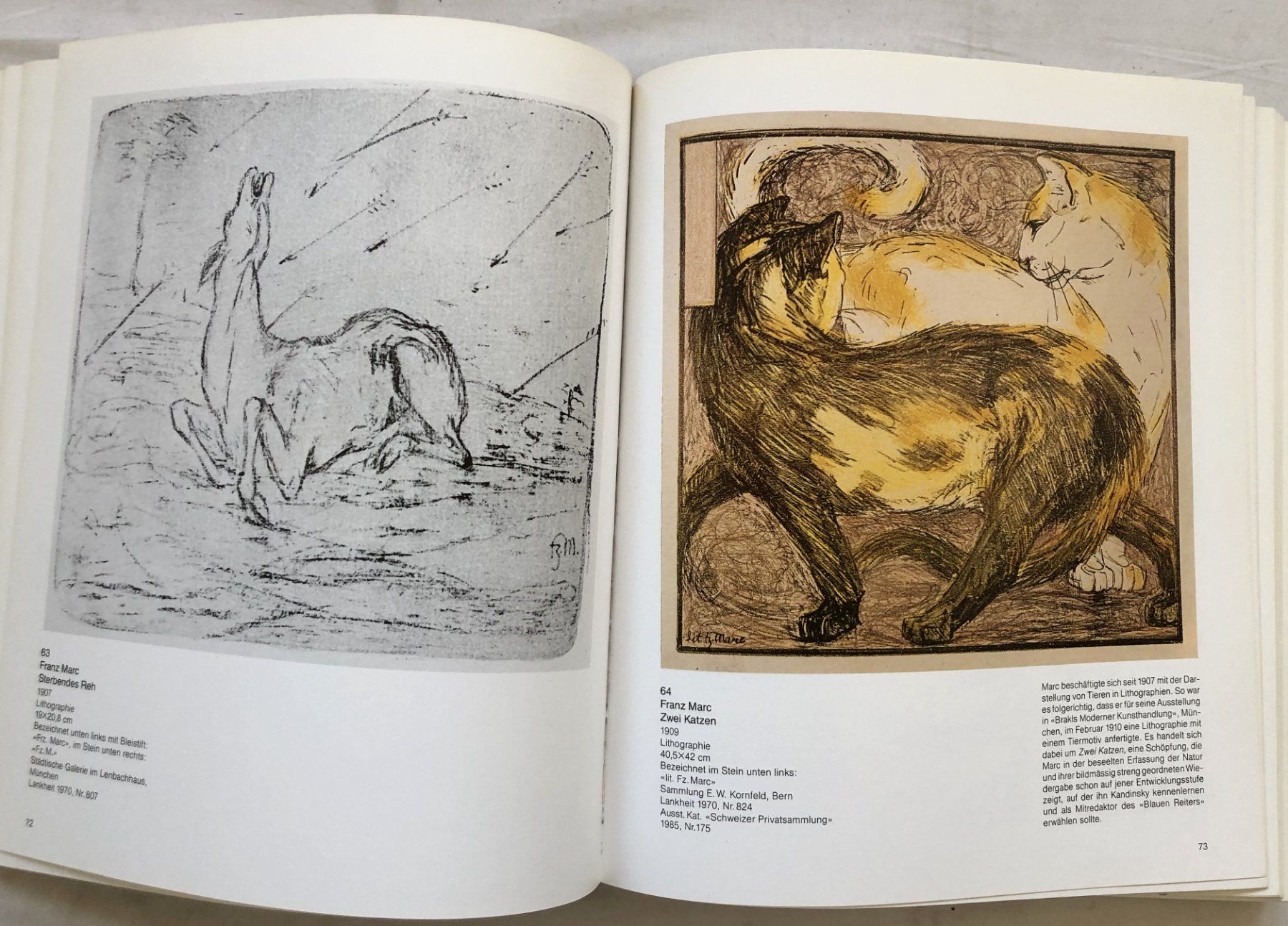 Bücher: Der Blaue Reiter - Kunstband - Kunstmuseum Bern – Gebraucht aus Schaffhausen von durruti 6