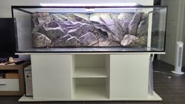 aquarium 720L avec meuble et fond 3D