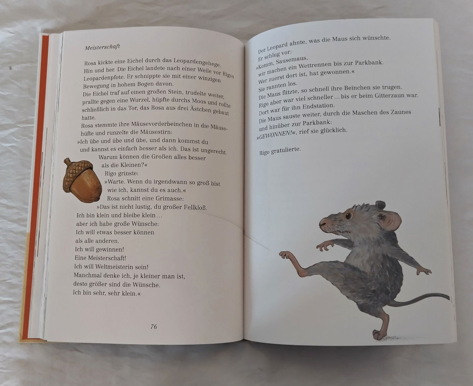 Libri: Rosa Maus und Rigo Leopard / Lorenz Pauli + Kathrin Schärer – Usato da Bellach venduto da JingleJerry 3