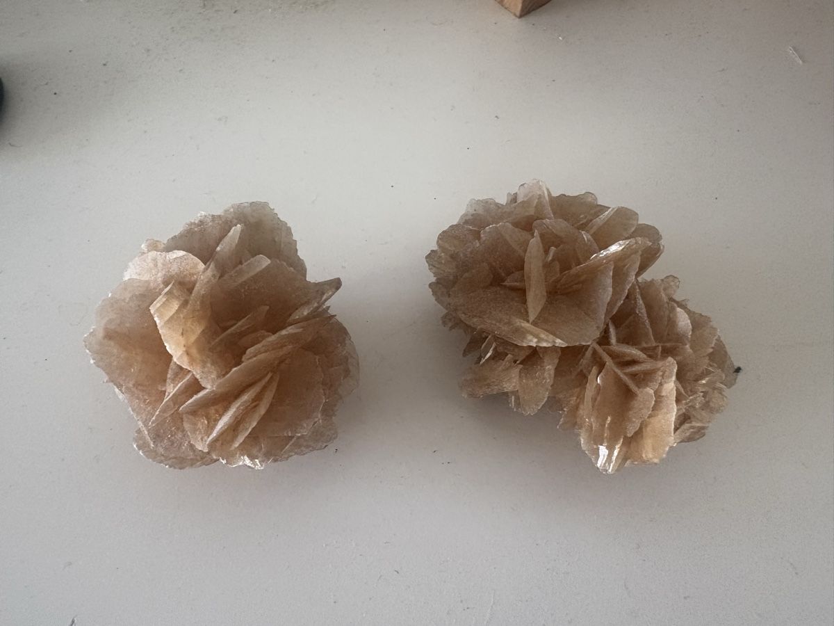 Minerali & Pietre curative: Wüstenrose aus Selenit – Usato da Schlieren venduto da pauley102