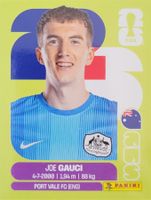 Panini FIFA World Cup AUS 3