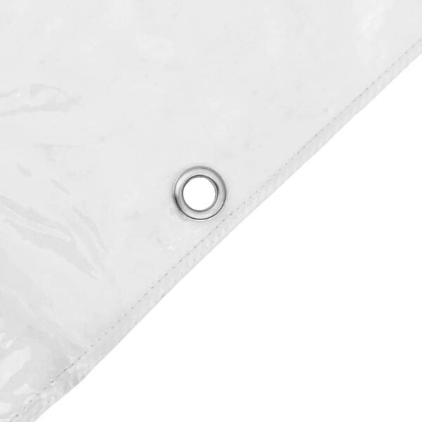 Altro: Bâche transparente avec œillets 2x6 m PVC – Nuovo e nell'imballaggio originale da Palézieux venduto da bantouklan1 6