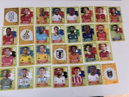 Panini WM 26  30 Stk