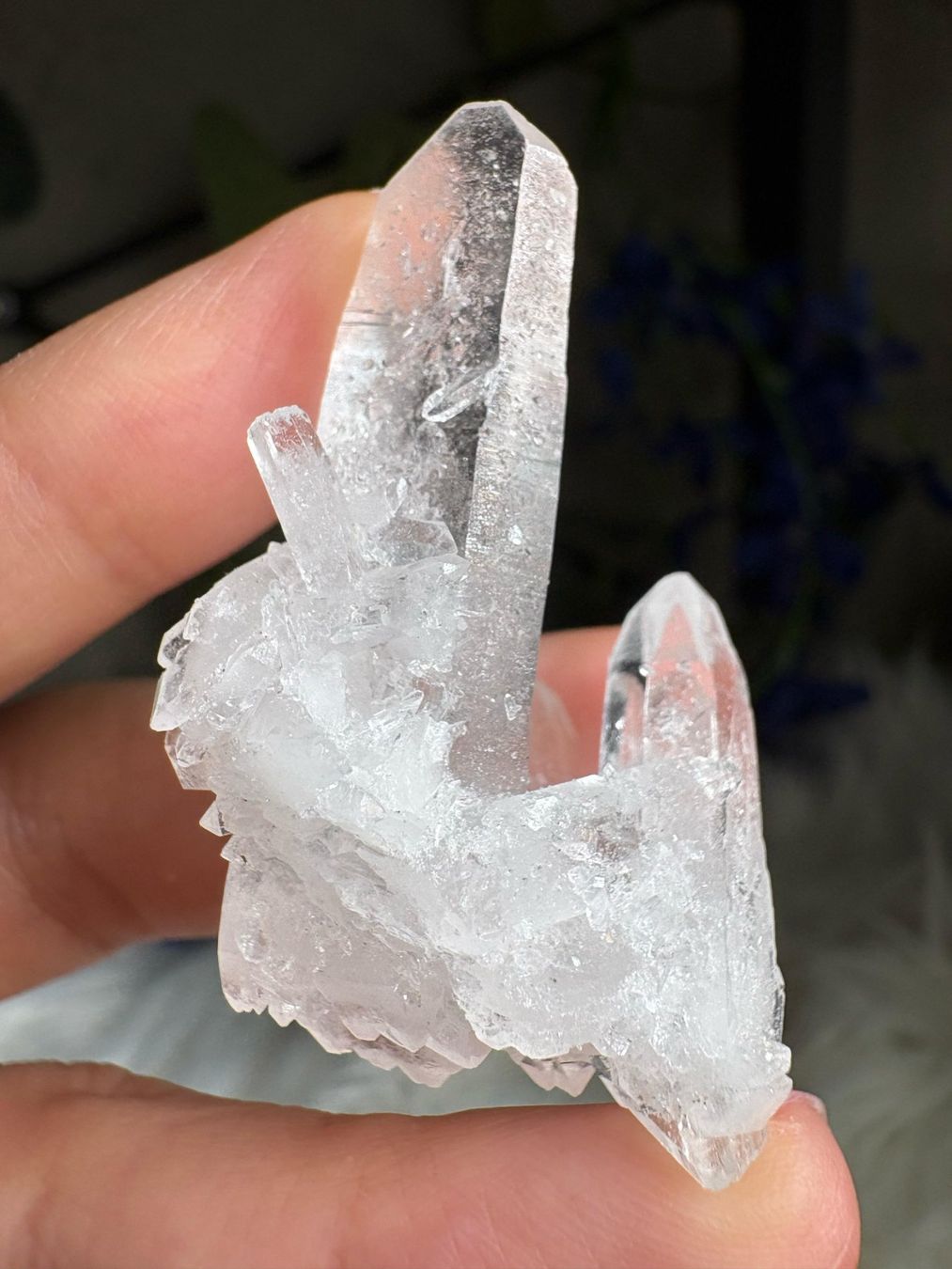 Minerali & Pietre curative: Kolumbianischer Lemurian-Quarz-Cluster – Nuovo (secondo la descrizione) da Neuheim venduto da m.hald 6