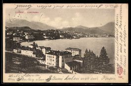 AK Lugano, Panorama