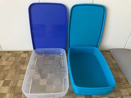 Tupperware 2 Behälter