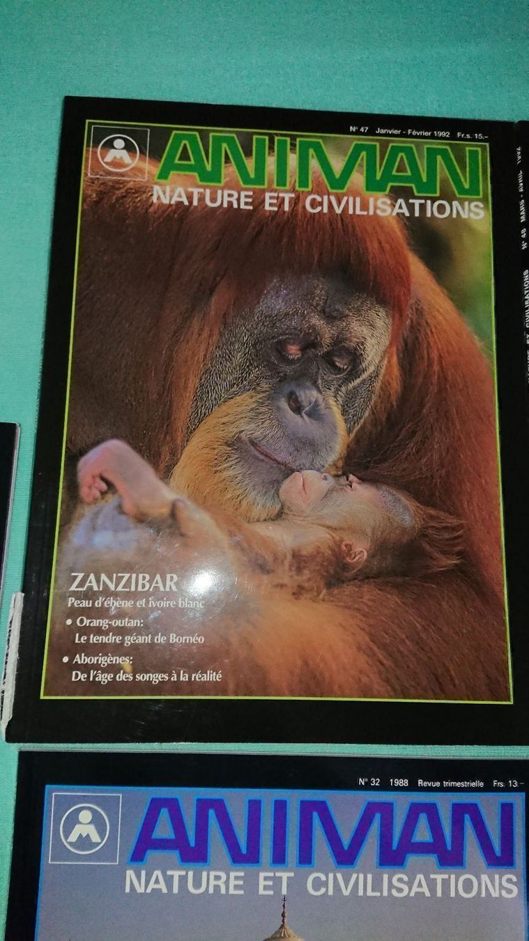 Riviste & Magazine: Animan Magazine – Usato da Cortaillod venduto da signep 2