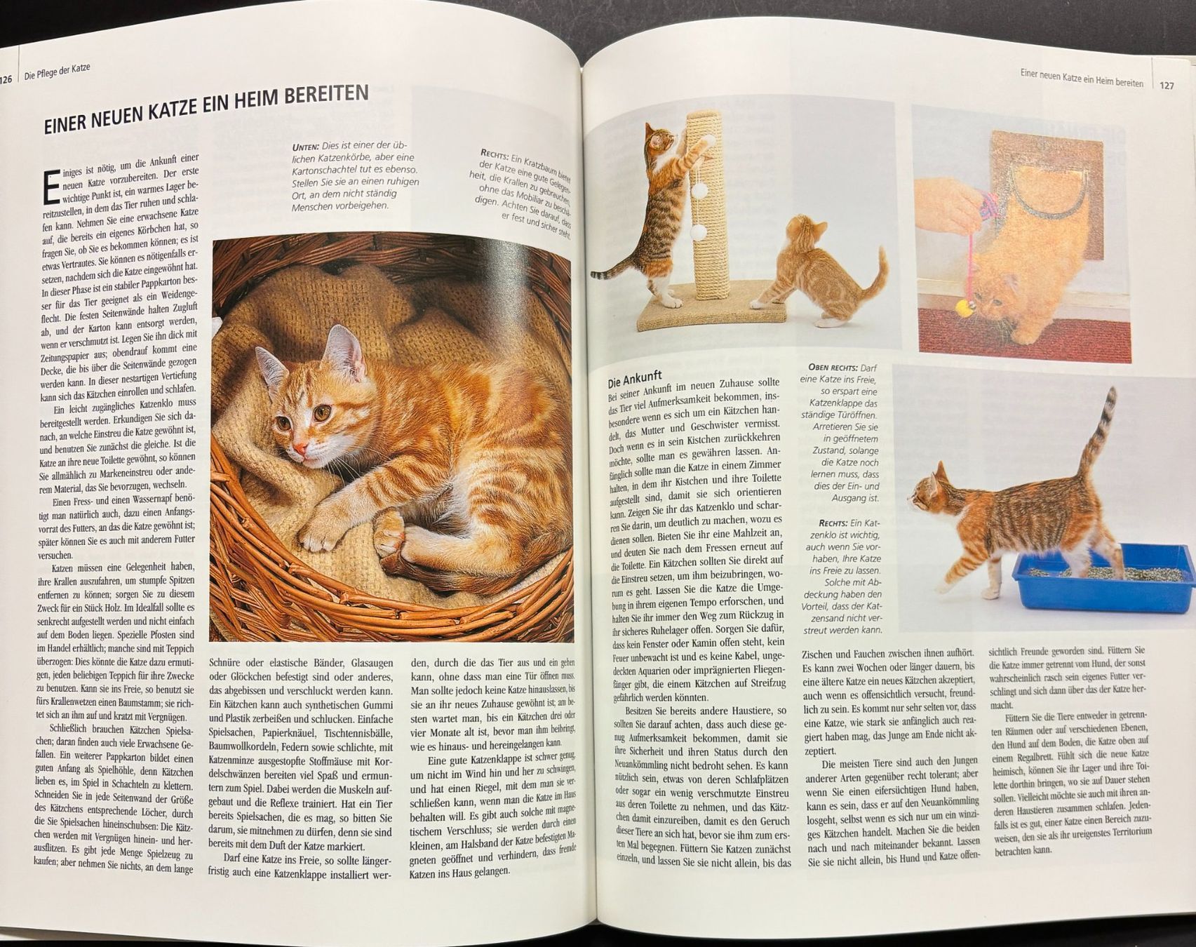 Libri: Katzen und ihre Welt – Nuovo e nell'imballaggio originale da Sarnen venduto da Livres 9