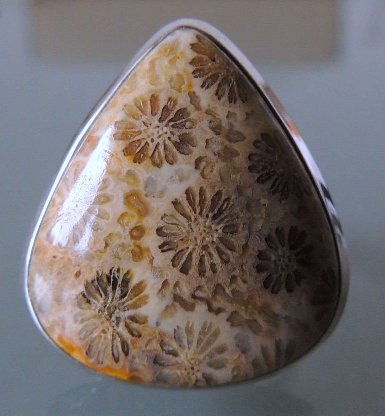 Anelli: Fossile Koralle Silber 925 Fingerring – Nuovo e nell'imballaggio originale da Waldenburg venduto da schaller707