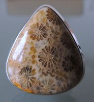 Fossile Koralle Silber 925 Fingerring