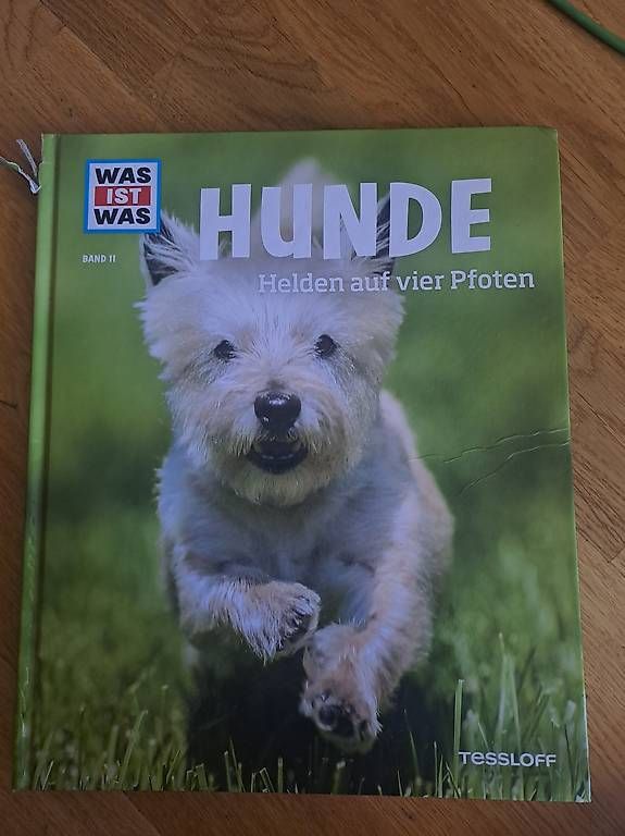 Bücher: WAS IST WAS Buch über Hunde ?  – Gebraucht aus zürich von Shanti79