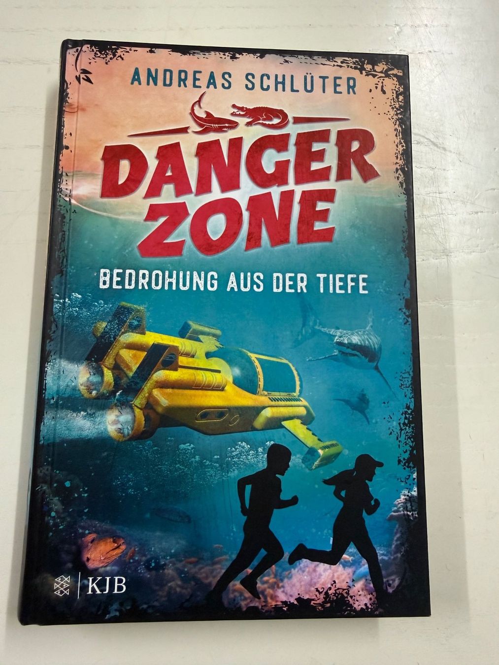 Libri: Buch Danger Zone - Bedrohung aus der Tiefe – Usato da Hunzenschwil venduto da Reche71