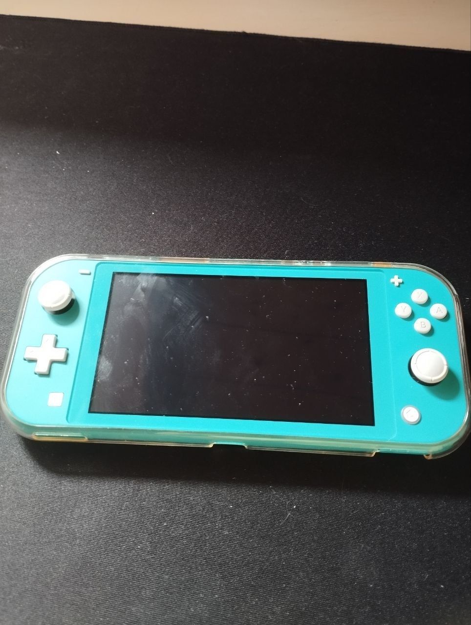Nintendo Console:  Nintendo Switch Lite+ 1 Spiel – Usato da Maisprach venduto da ole_ns9w 2
