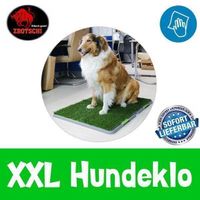 XXL Hundetoilette mit Kunstrasen für Welpen 2-teilig 🐶