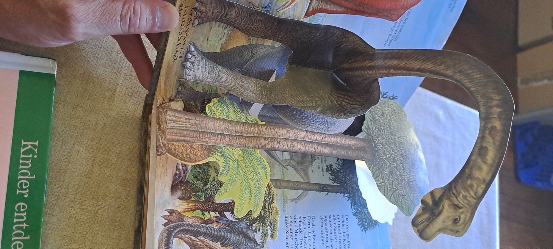 Libri: Wale und dinosaurier buch – Usato da Bitsch venduto da jajo79076 9