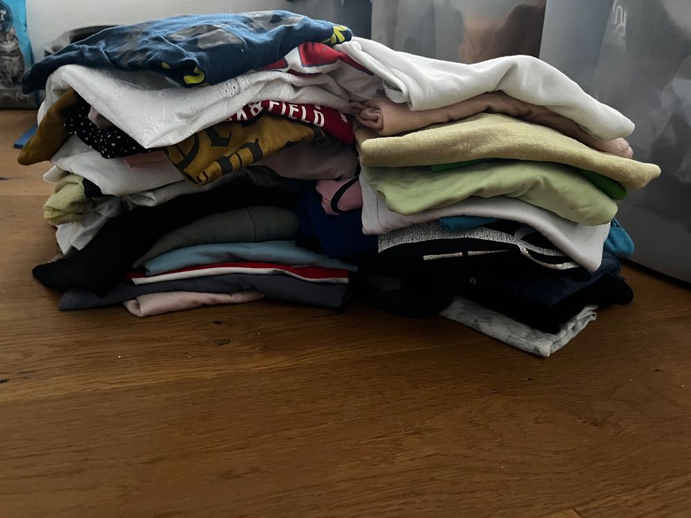 Majestic Ally Pferdeführseil 3m - 2er Set Aus Polypropylen Mit Bolzenschnapper