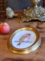 Handgemaltes Aquarell Vogel im Ovalrahmen