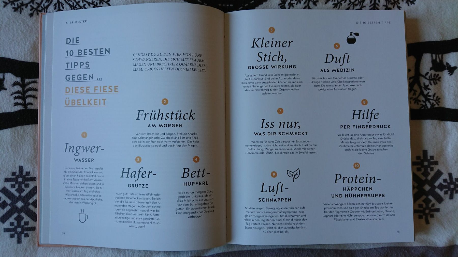 Libri: Buch "Kugelzeit" Schwangerschaft & Wochenbett Maike Mauer – Nuovo (secondo la descrizione) da Münsingen venduto da sta_jkk5 1