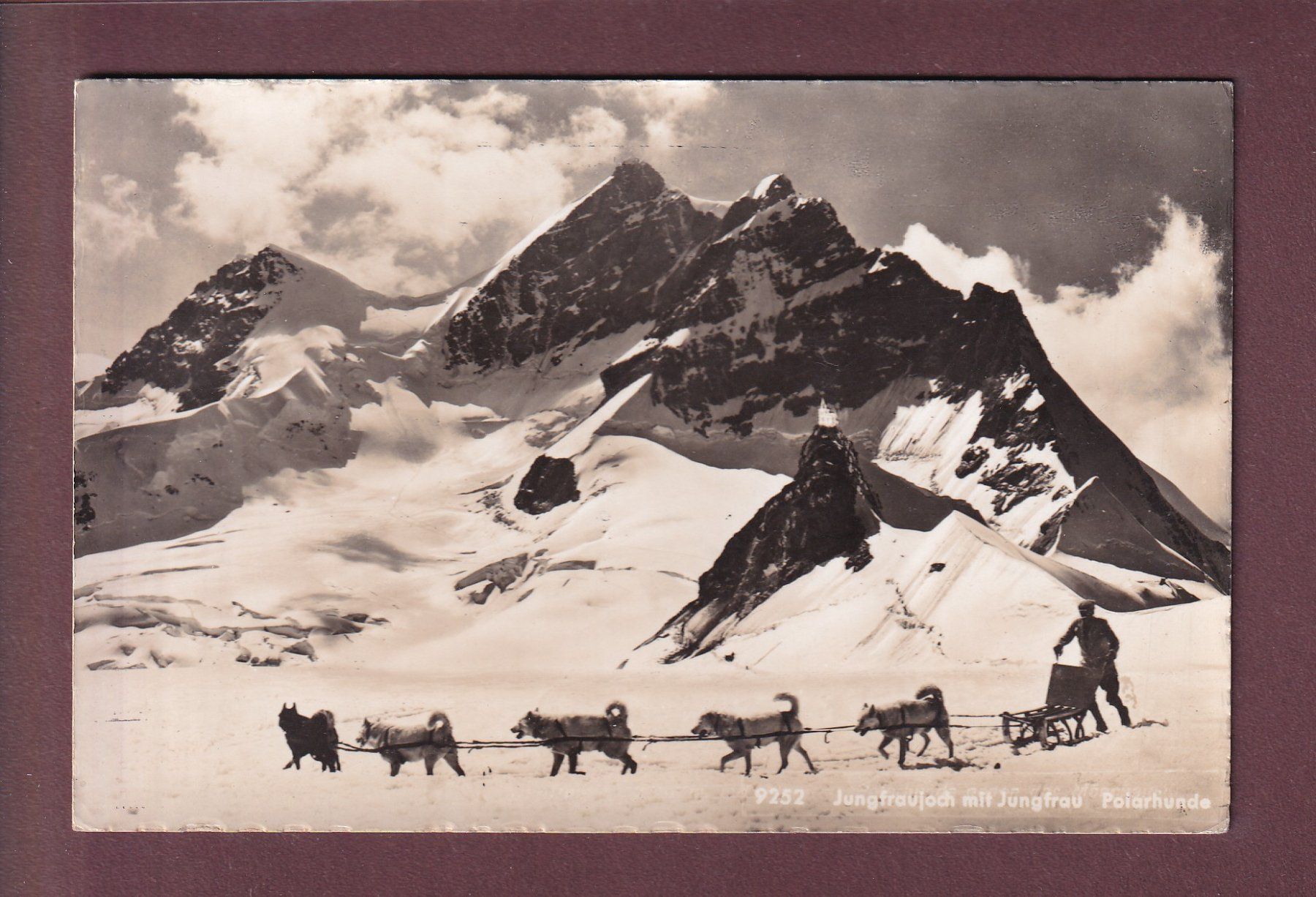 Ansichtskarten: JUNGFRAUJOCH - Polarhunde – Gebraucht aus Pully von nicecards