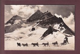 JUNGFRAUJOCH - Polarhunde