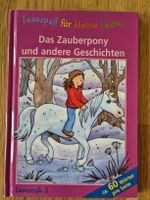 Das Zauberpony und andere Geschichten Lesestufe 3