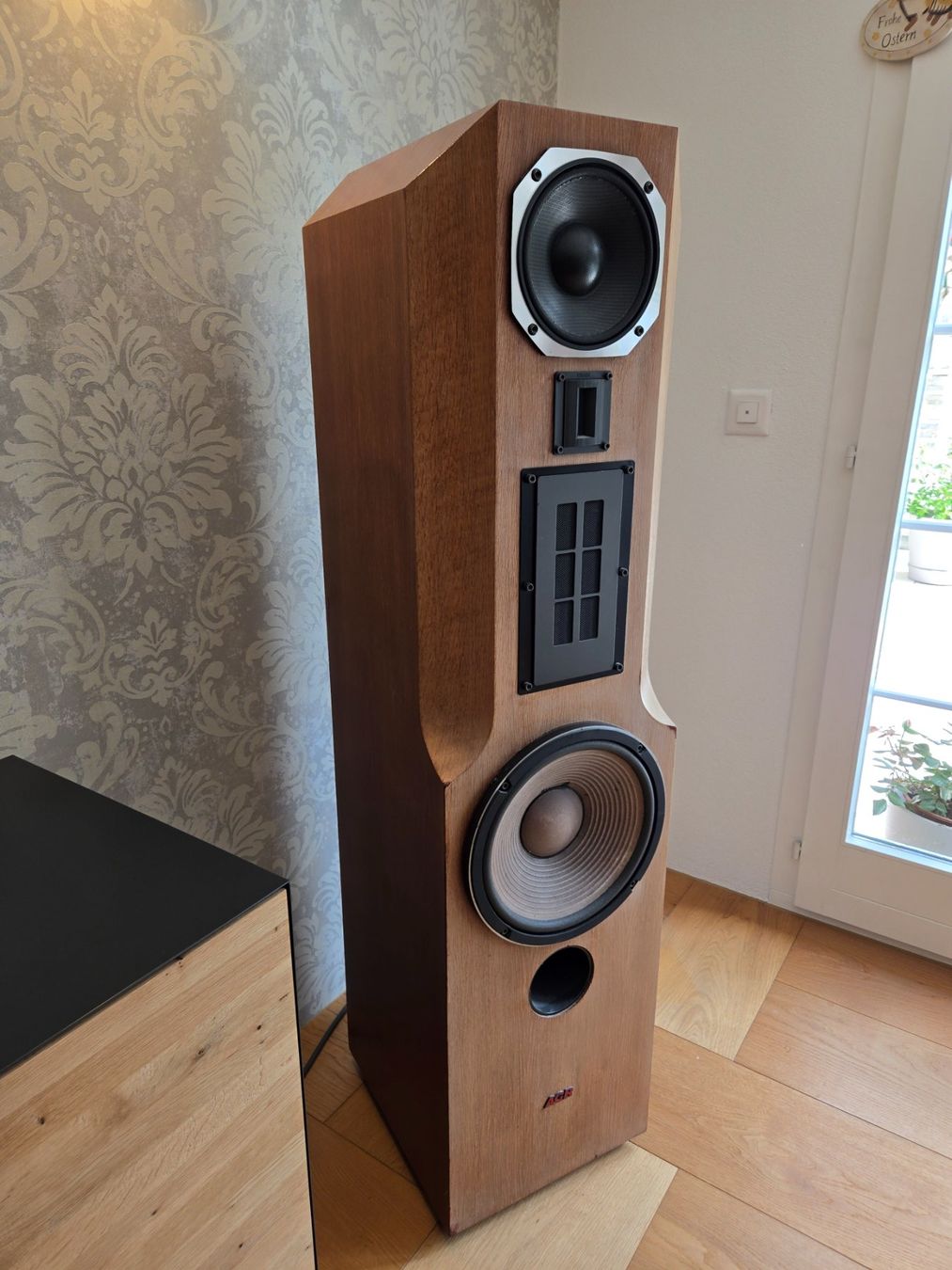 ACR Casse acustiche: ACR RP300 Lautsprecher – Usato da Illnau venduto da Krog0 5