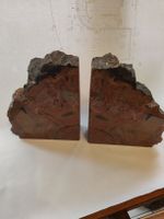 Seltene Buchstützen aus versteinertem Holz (Arizona)
